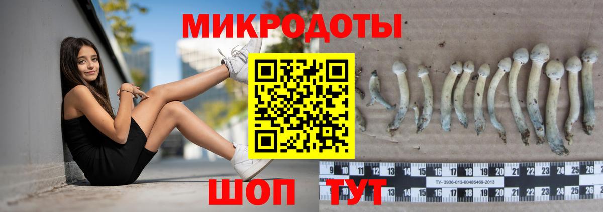 Алатырь  Галлюциногенные грибы мицелий  Вход с VPN 
